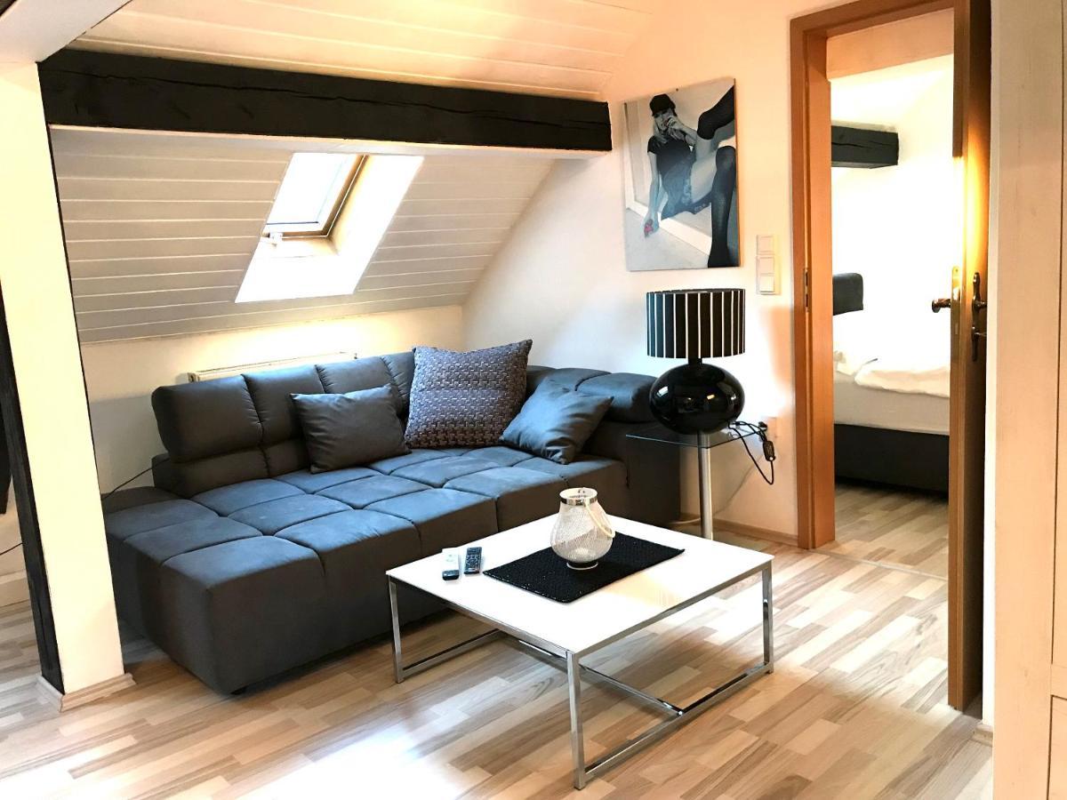 Apartment Direkt An Der Waldnaab Нойштадт-ан-дер-Вальднааб Екстер'єр фото