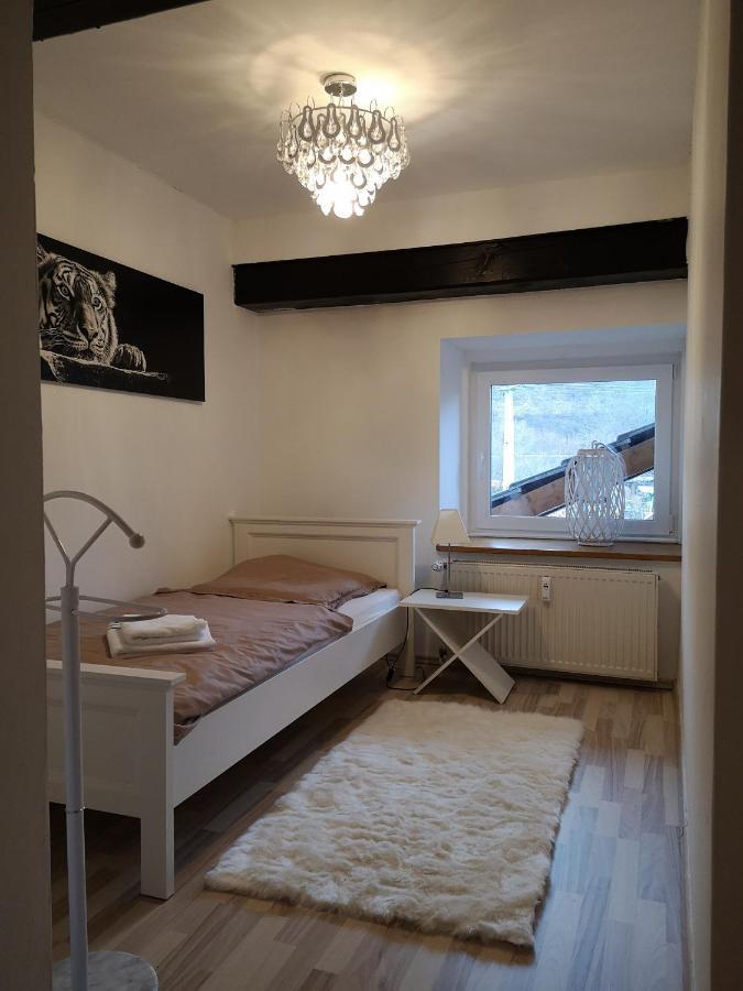 Apartment Direkt An Der Waldnaab Нойштадт-ан-дер-Вальднааб Екстер'єр фото