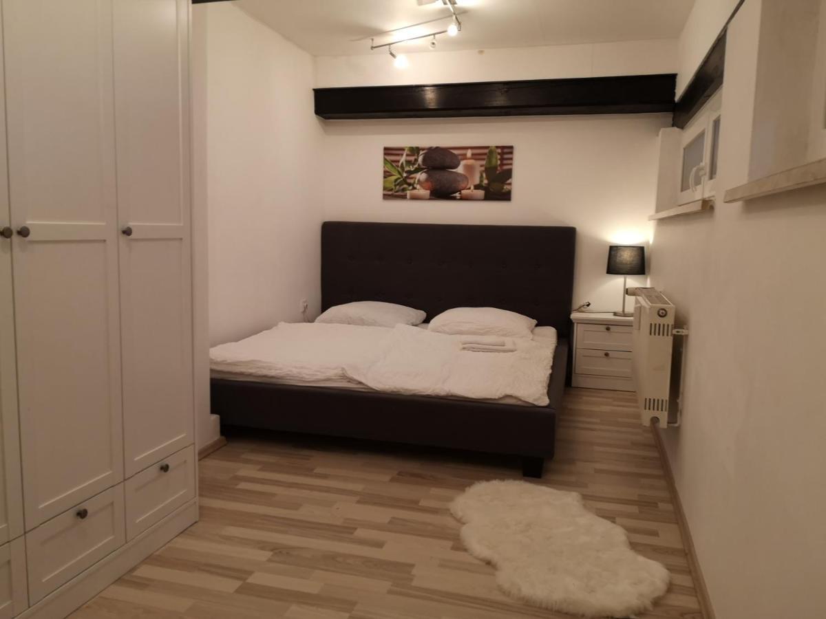 Apartment Direkt An Der Waldnaab Нойштадт-ан-дер-Вальднааб Екстер'єр фото