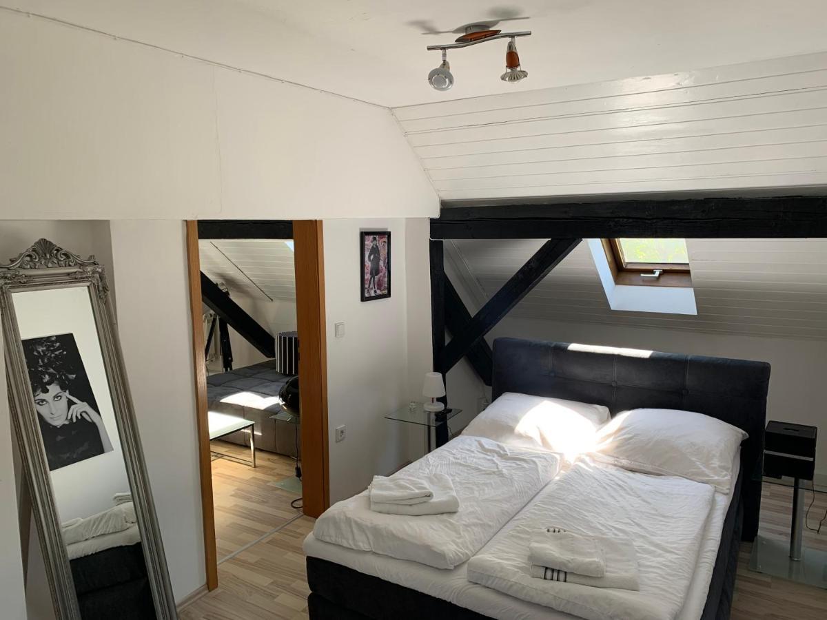 Apartment Direkt An Der Waldnaab Нойштадт-ан-дер-Вальднааб Екстер'єр фото