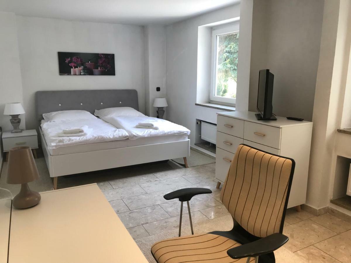 Apartment Direkt An Der Waldnaab Нойштадт-ан-дер-Вальднааб Екстер'єр фото