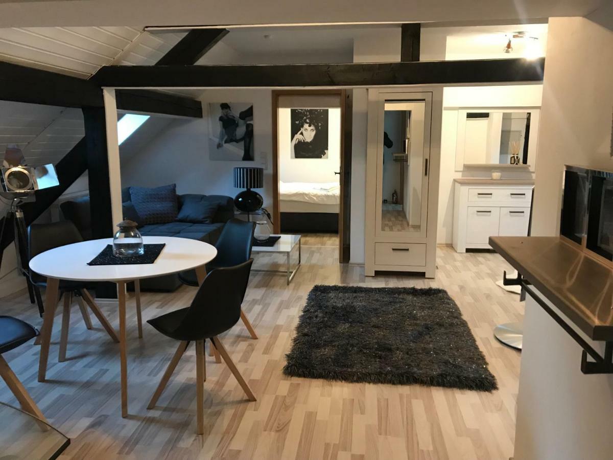 Apartment Direkt An Der Waldnaab Нойштадт-ан-дер-Вальднааб Екстер'єр фото